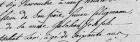 thumbs/1826.11.25_AD-2_brendel-seligman_[nom-parents].png.jpg